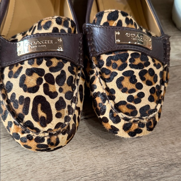 Coach Fredrica Leopard Print Slip-On Loafers - Women's Brown/Beige 8 - Picture 2 of 8